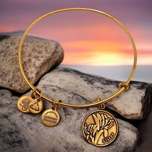 Alex and Ani Sister Charm Bracelet Bangle Adjustable Gold Tone USA Made Y2K - Picture 11 of 14